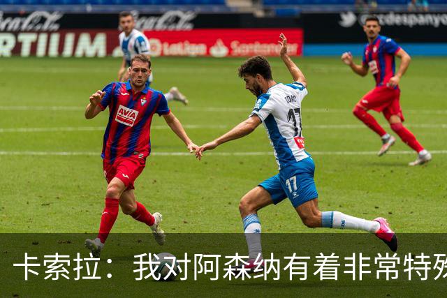 卡索拉：我对阿森纳有着非常特殊的感情