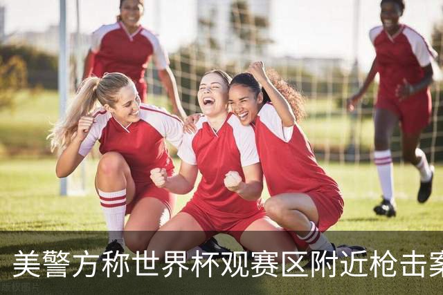 美警方称世界杯观赛区附近枪击案系孤立事件